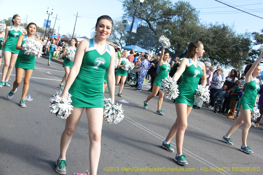 2018-Rex-Organization-00008647