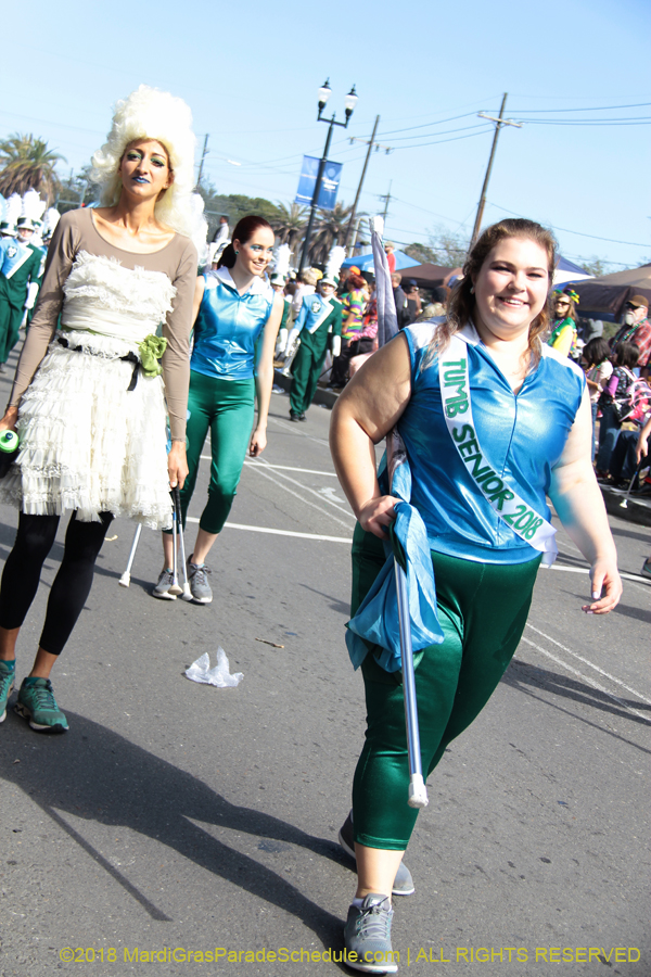 2018-Rex-Organization-00008648