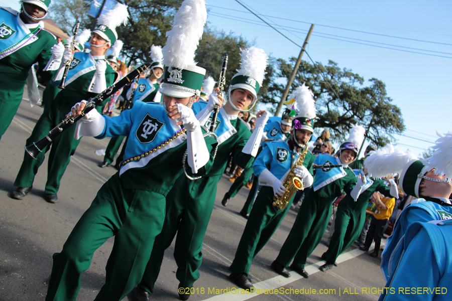 2018-Rex-Organization-00008651