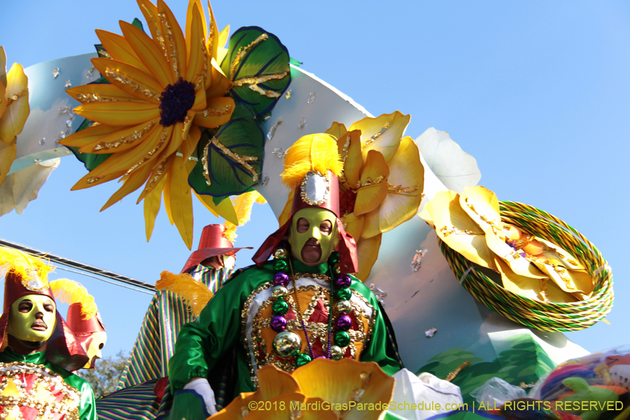 2018-Rex-Organization-00008655