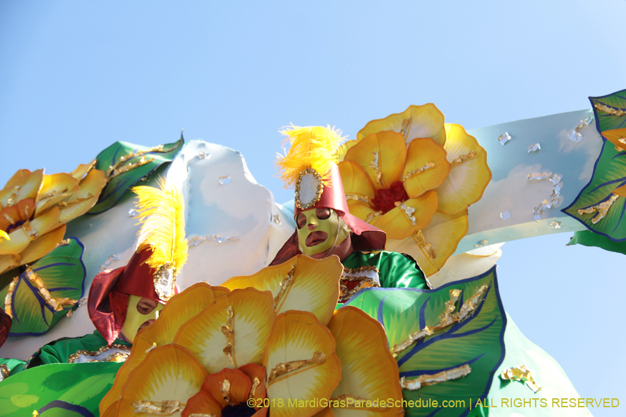 2018-Rex-Organization-00008657