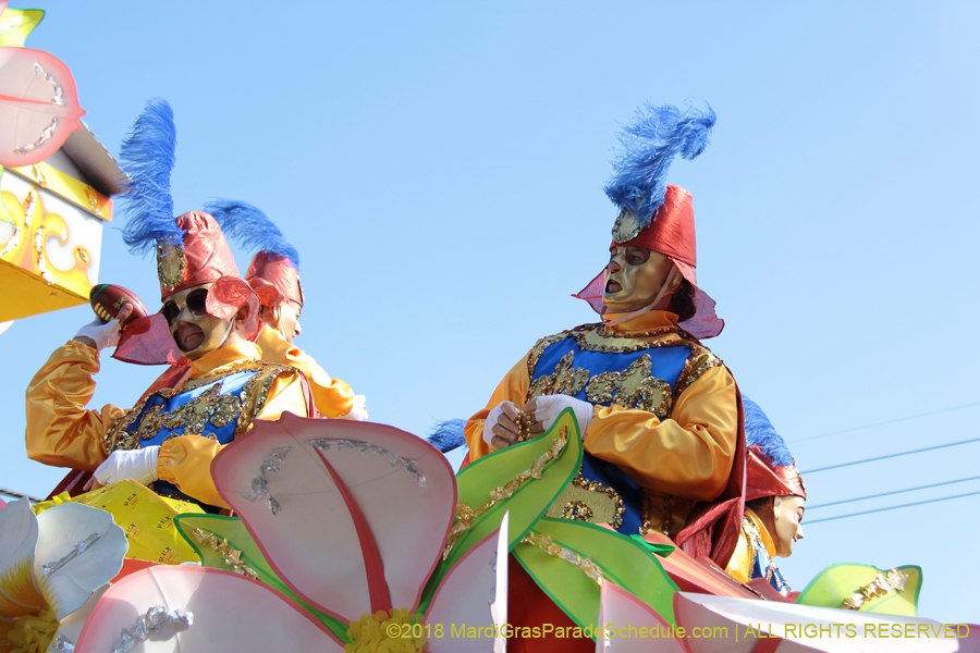 2018-Rex-Organization-00008664