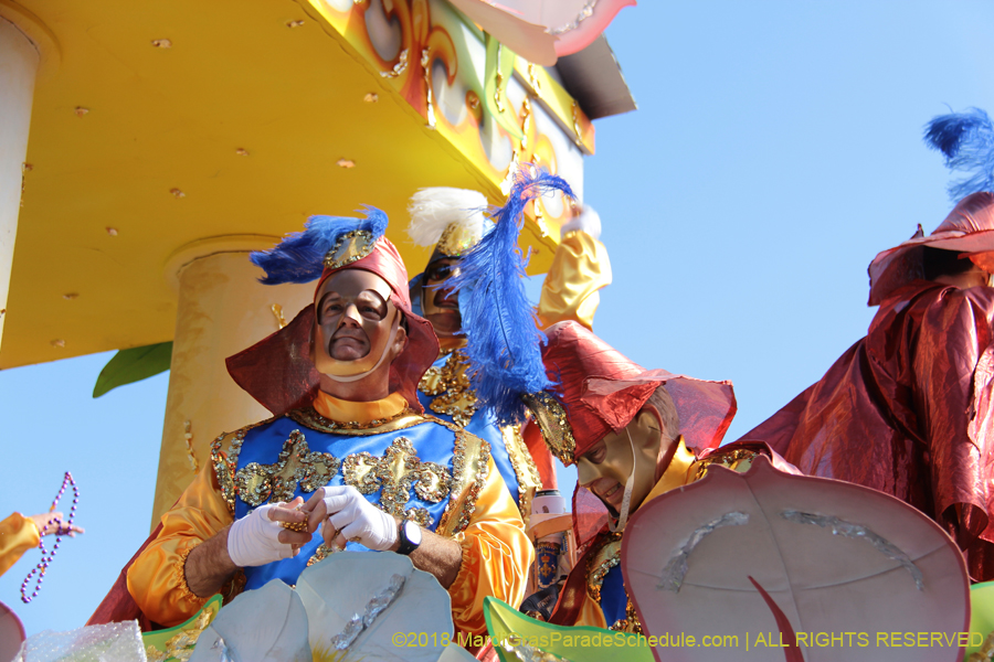 2018-Rex-Organization-00008665