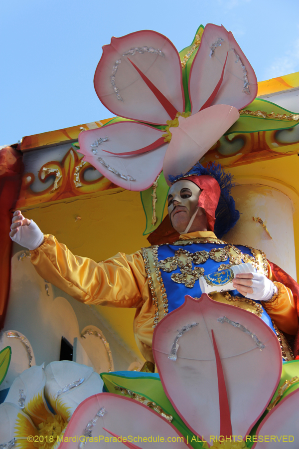 2018-Rex-Organization-00008666