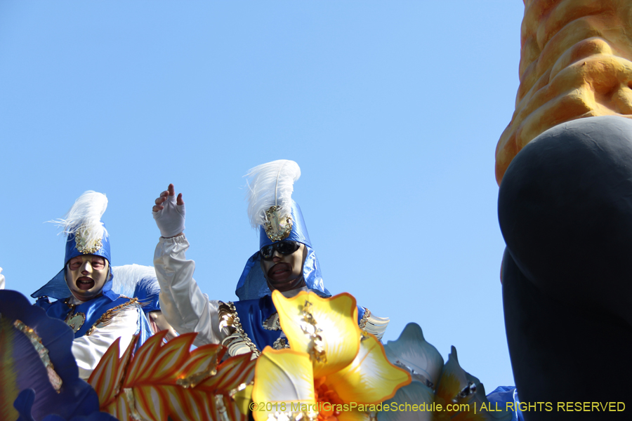 2018-Rex-Organization-00008676