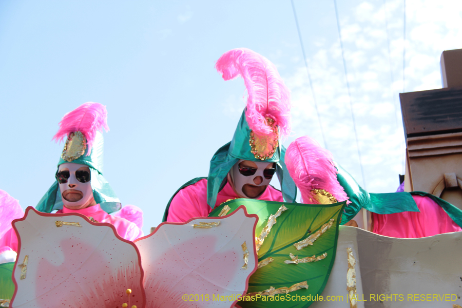 2018-Rex-Organization-00008684