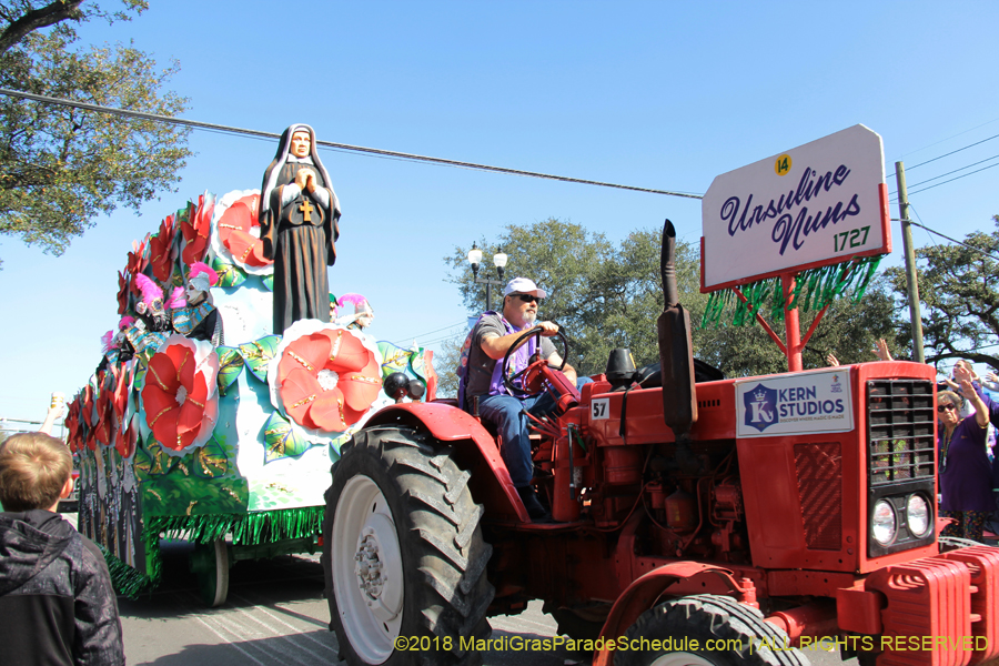 2018-Rex-Organization-00008696