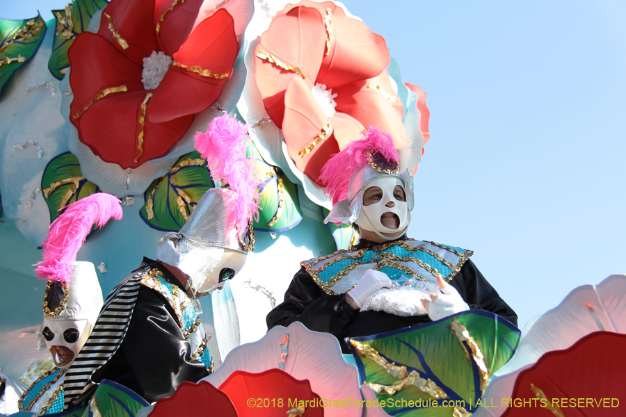 2018-Rex-Organization-00008697