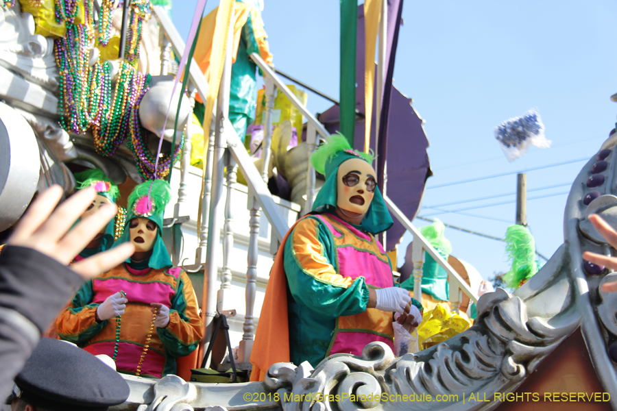 2018-Rex-Organization-00008704