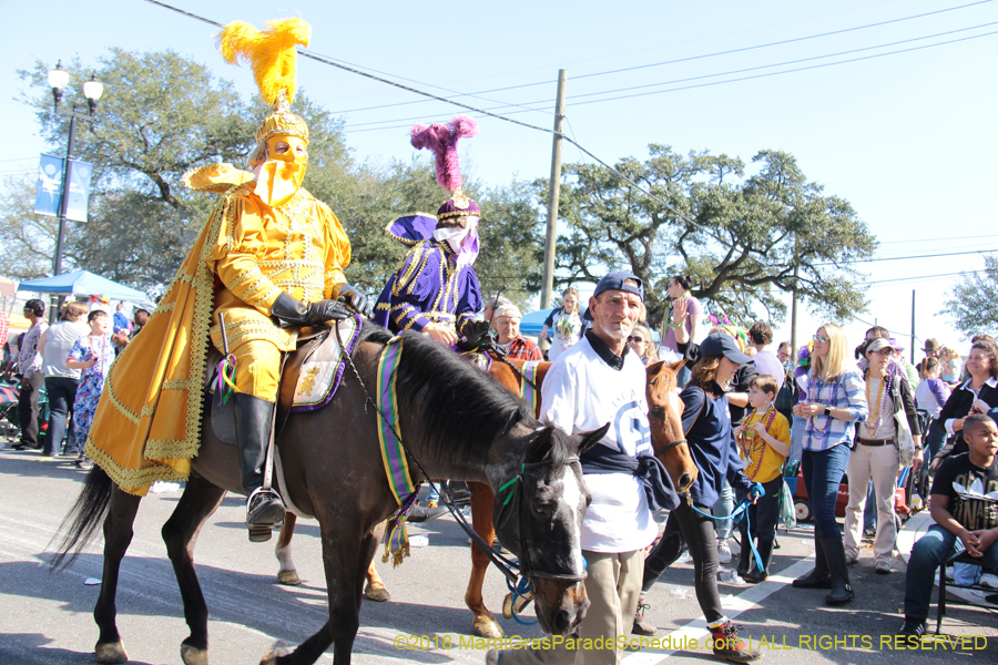 2018-Rex-Organization-00008715