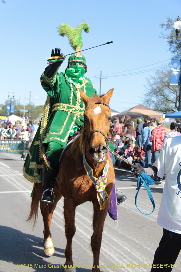 2018-Rex-Organization-00008716