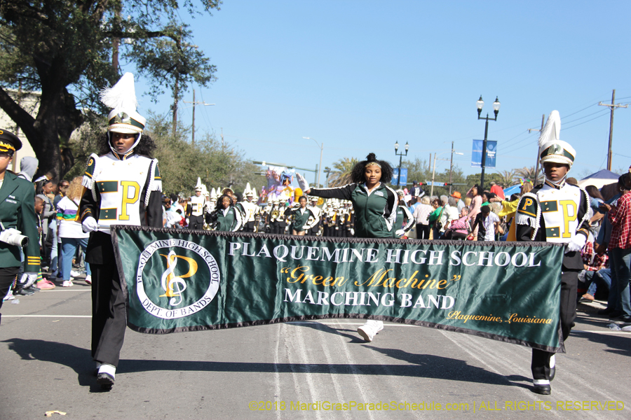 2018-Rex-Organization-00008717