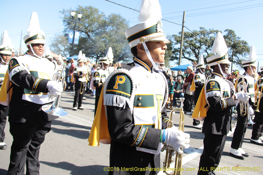 2018-Rex-Organization-00008719