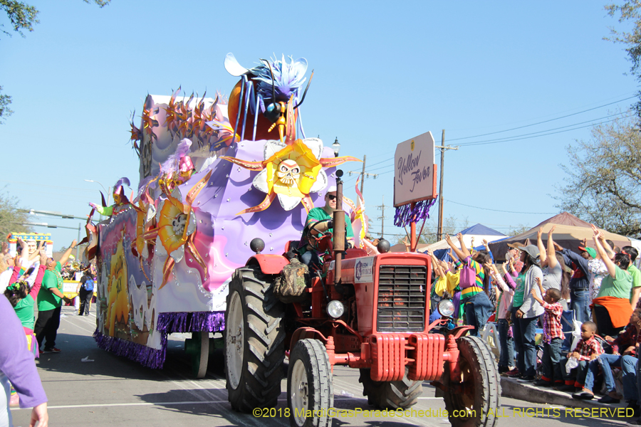 2018-Rex-Organization-00008721