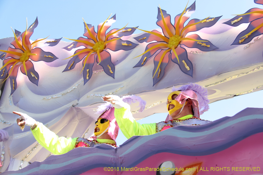 2018-Rex-Organization-00008724