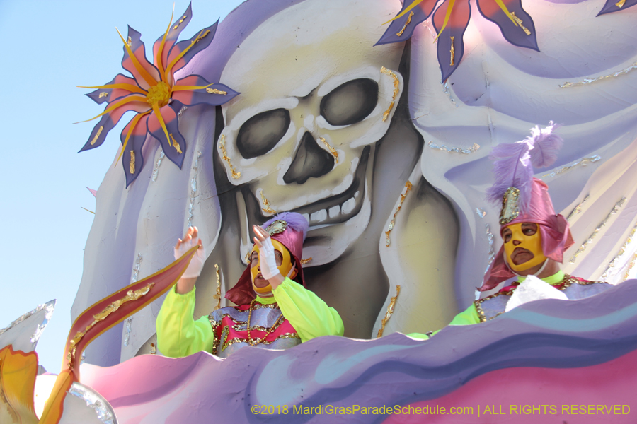 2018-Rex-Organization-00008725