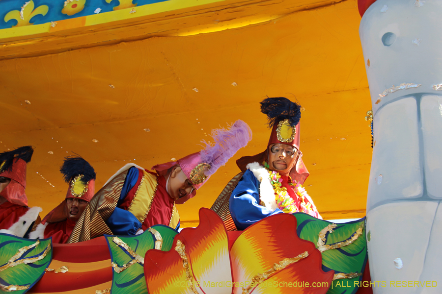 2018-Rex-Organization-00008730