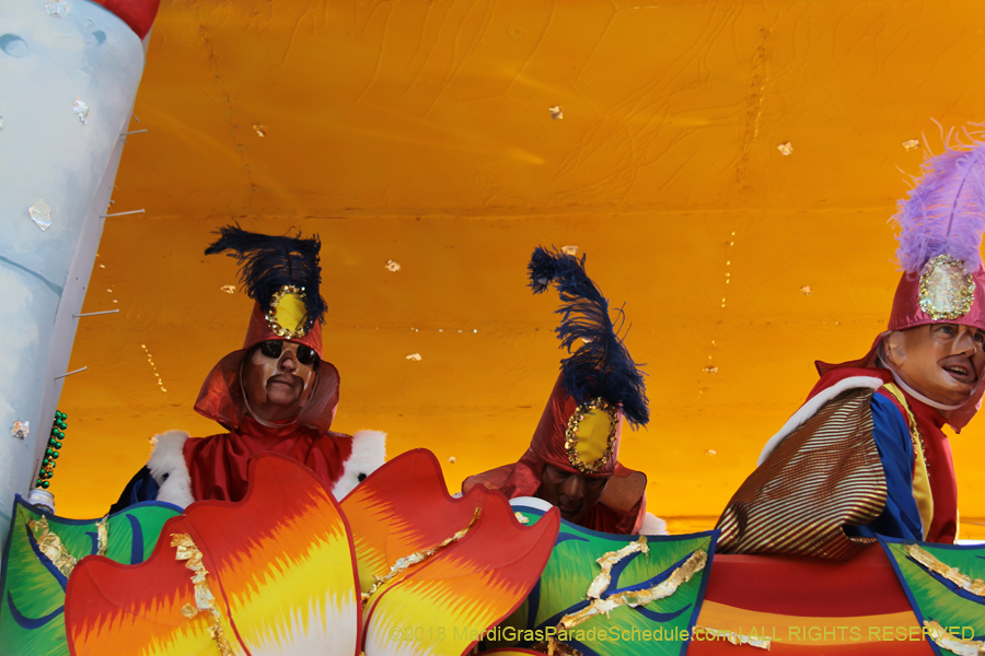 2018-Rex-Organization-00008731