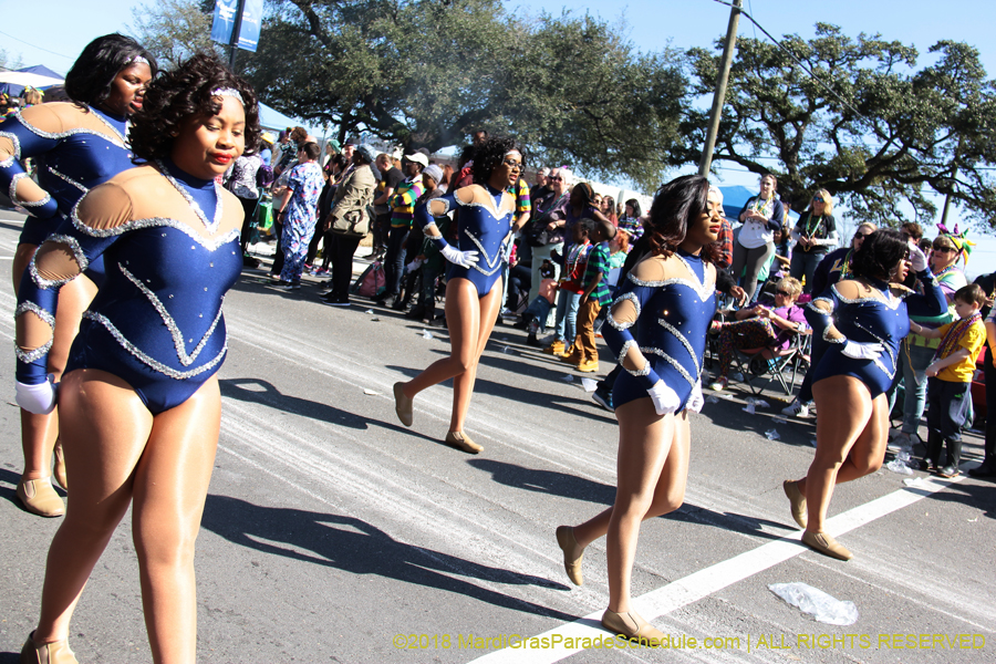 2018-Rex-Organization-00008734