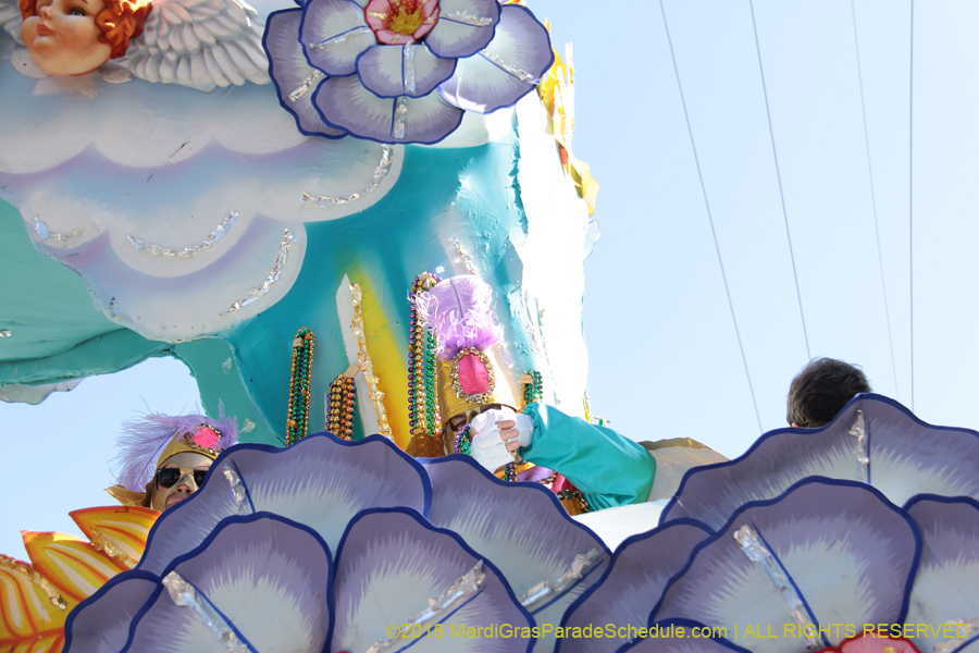 2018-Rex-Organization-00008737