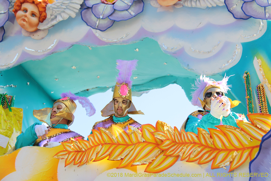 2018-Rex-Organization-00008738