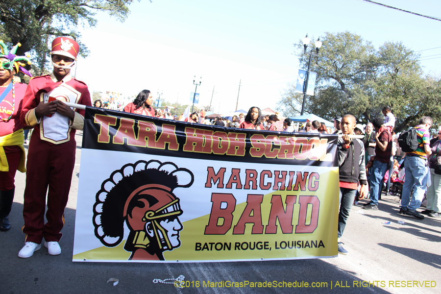 2018-Rex-Organization-00008741