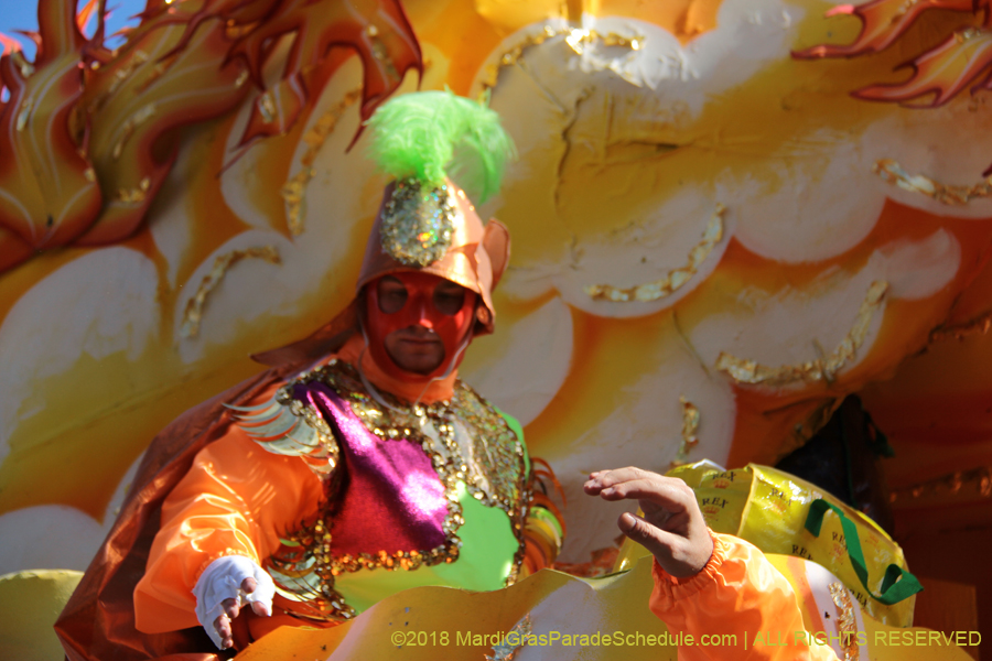 2018-Rex-Organization-00008762