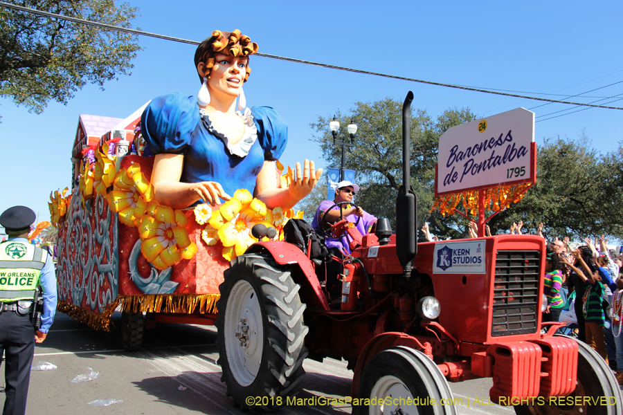 2018-Rex-Organization-00008775