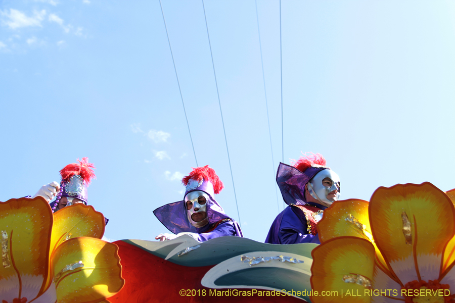 2018-Rex-Organization-00008777