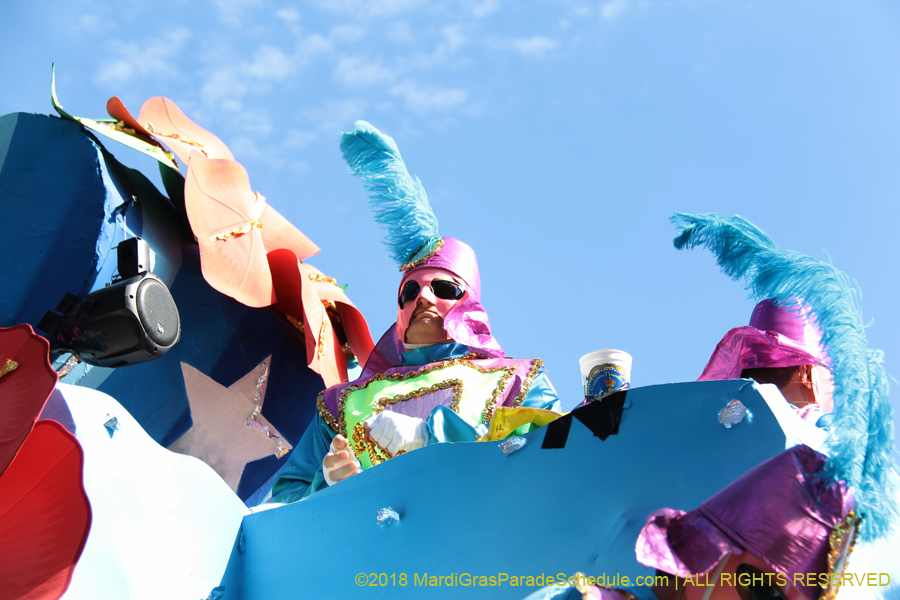 2018-Rex-Organization-00008786