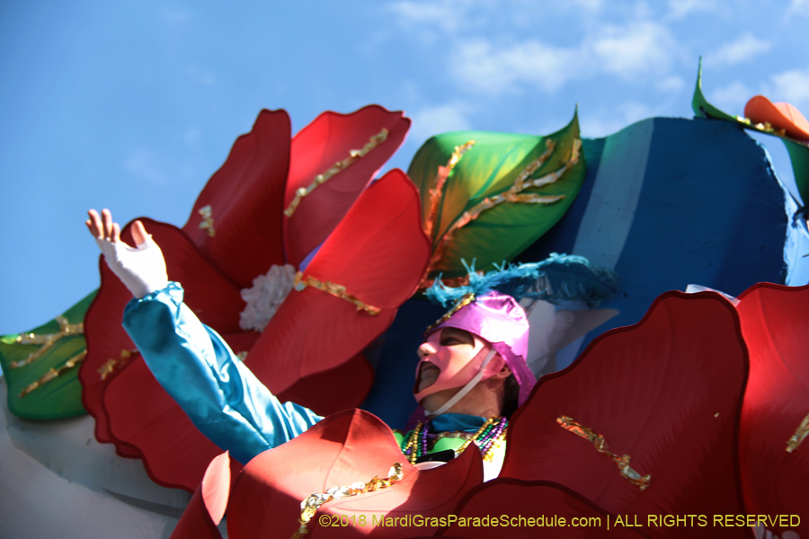 2018-Rex-Organization-00008787