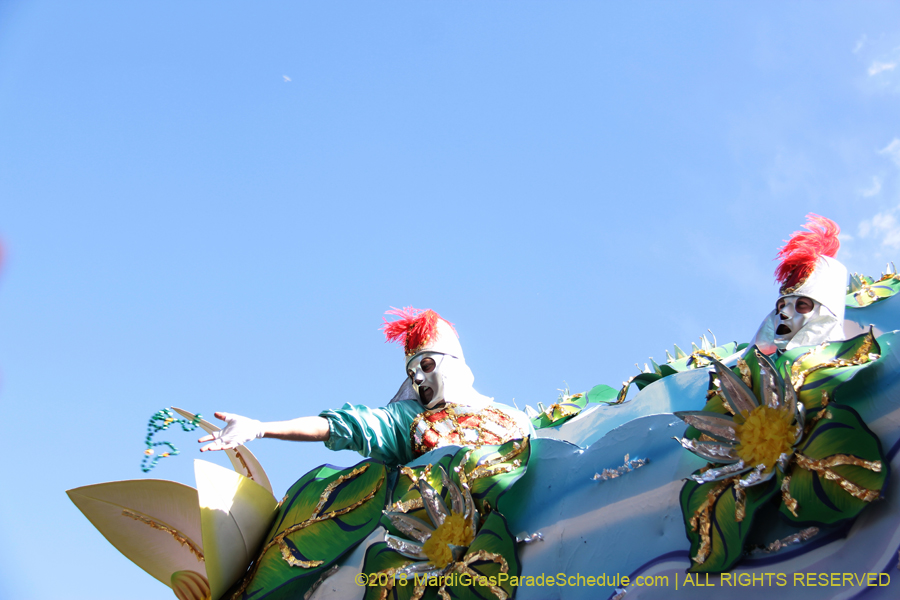 2018-Rex-Organization-00008791