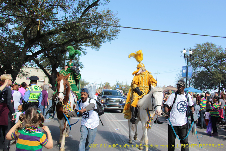 2018-Rex-Organization-00008794