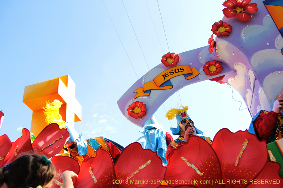 2018-Rex-Organization-00008800