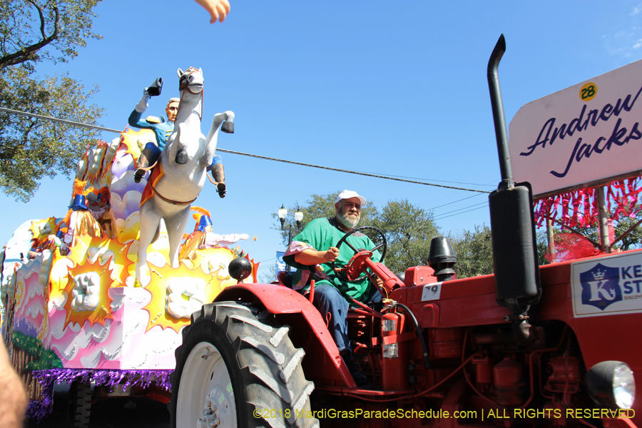 2018-Rex-Organization-00008801