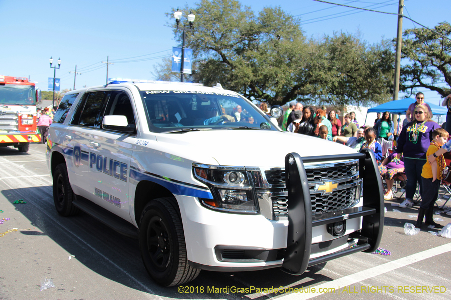 2018-Rex-Organization-00008806