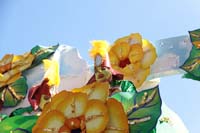 2018-Rex-Organization-00008657