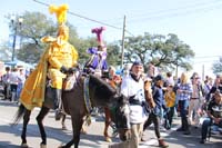 2018-Rex-Organization-00008715