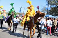 2018-Rex-Organization-00008765