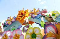 2018-Rex-Organization-00008768