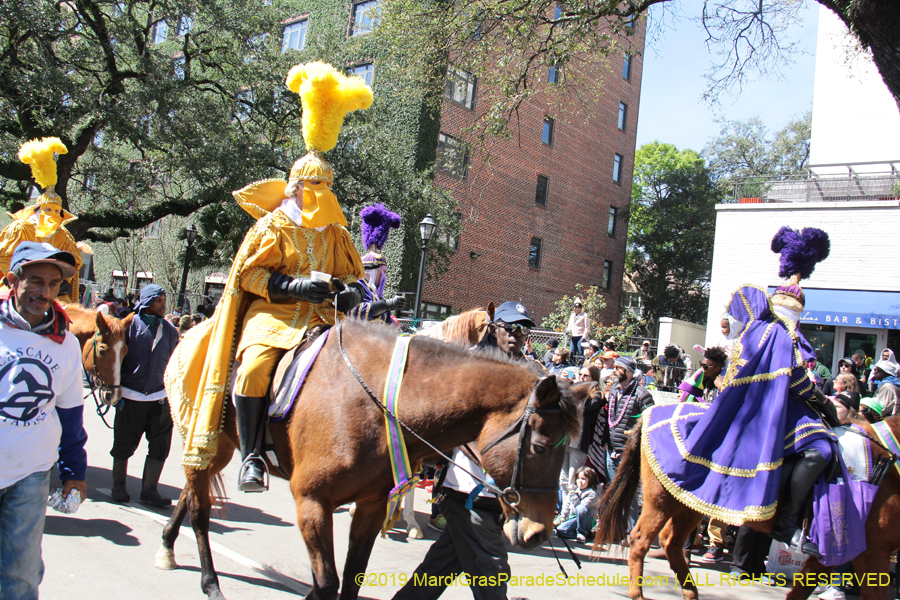 Rex-Organization-2019-010859