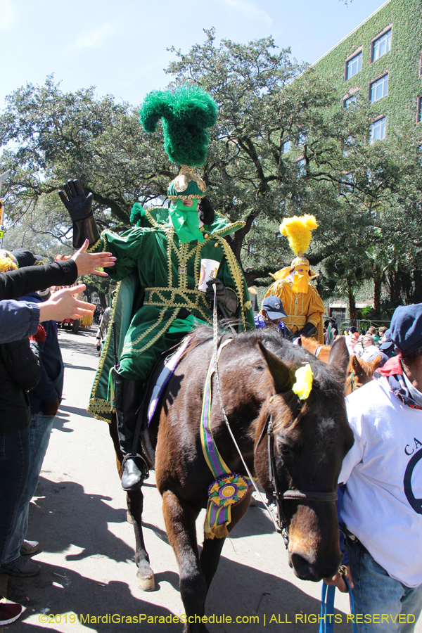 Rex-Organization-2019-010860