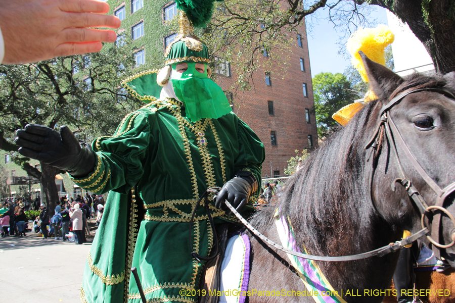 Rex-Organization-2019-010861