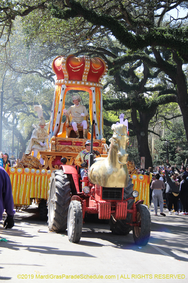 Rex-Organization-2019-010862