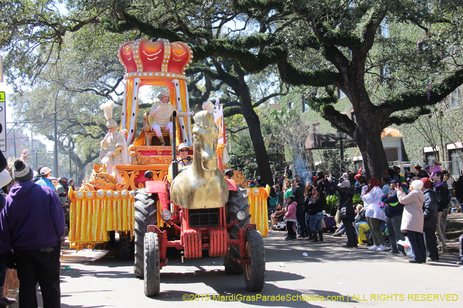 Rex-Organization-2019-010863