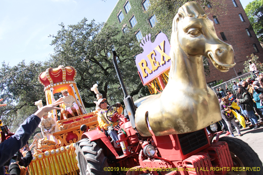 Rex-Organization-2019-010864