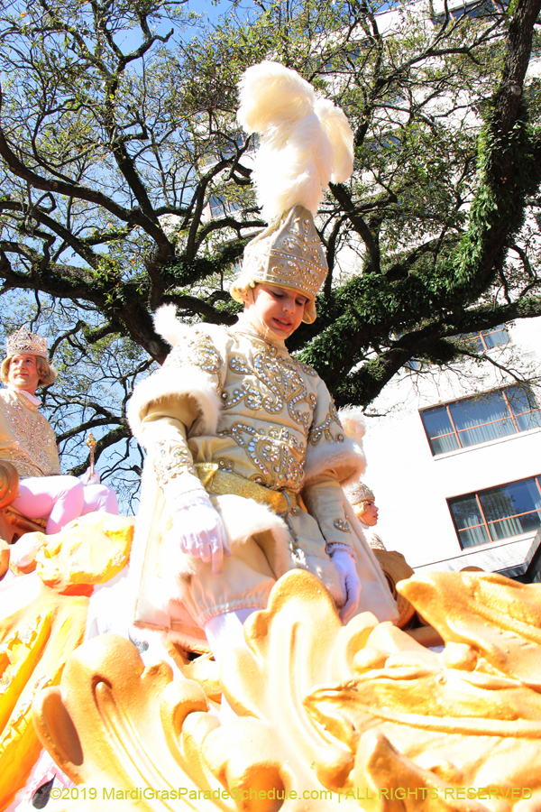 Rex-Organization-2019-010866