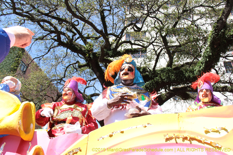 Rex-Organization-2019-010871