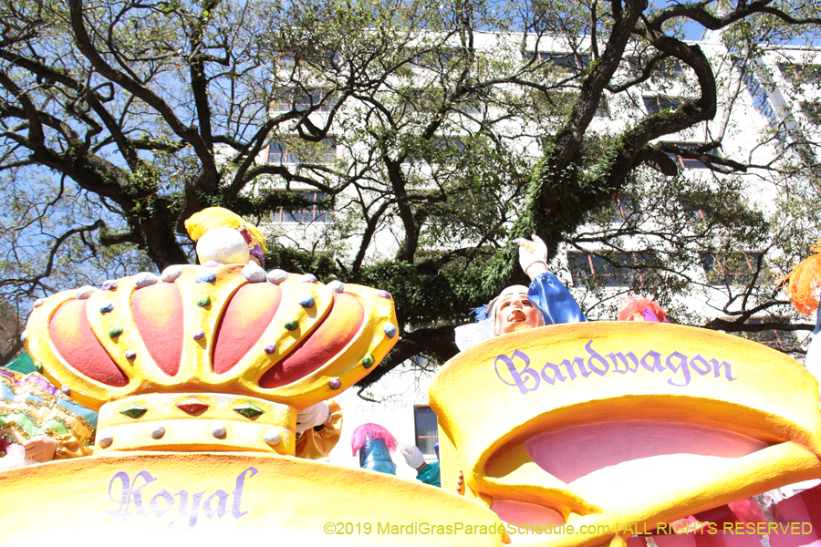 Rex-Organization-2019-010872