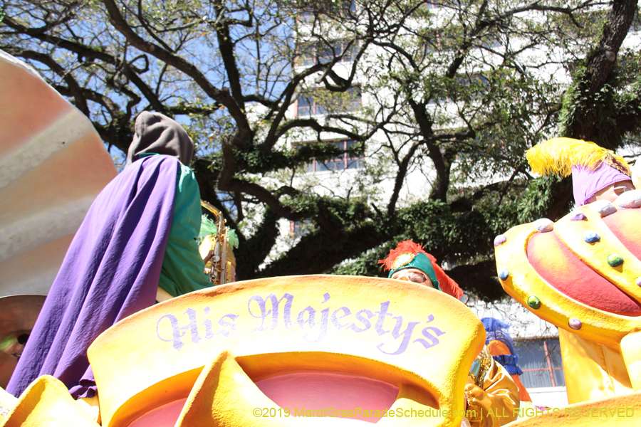 Rex-Organization-2019-010873